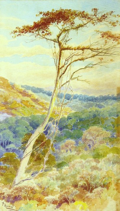 المناظر الطبيعيه بواسطة أوريليو دي فيجويريدو